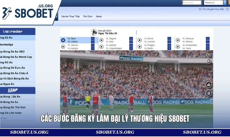 Đại Lý SBOBET 2 Các bước đăng ký làm đại lý thương hiệu SBOBET