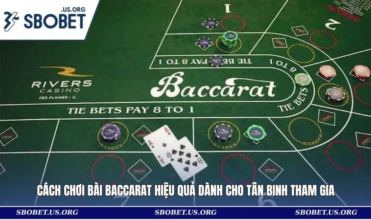 Cách Chơi Bài Baccarat Hiệu Quả Dành Cho Tân Binh Tham Gia