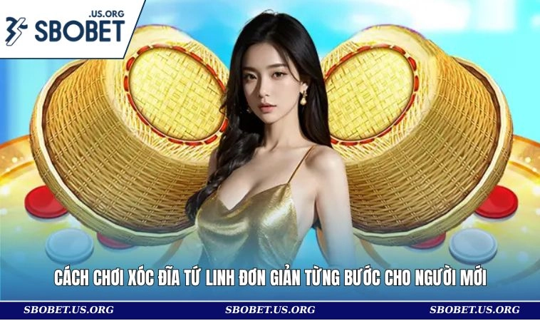 Cách Chơi Xóc Đĩa Tứ Linh Đơn Giản Từng Bước Cho Người Mới
