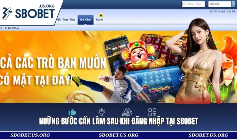 Những bước cần làm sau khi đăng nhập tại SBOBET