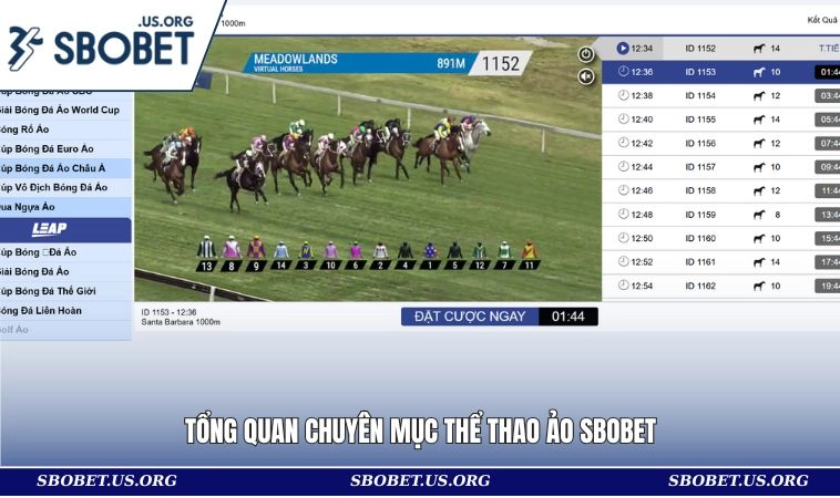 Tổng quan chuyên mục thể thao ảo SBOBET