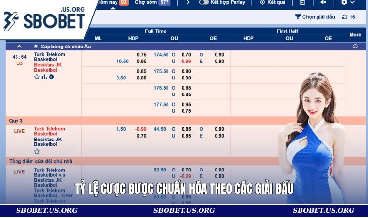 Home 29 Tỷ lệ cược được chuẩn hóa theo các giải đấu
